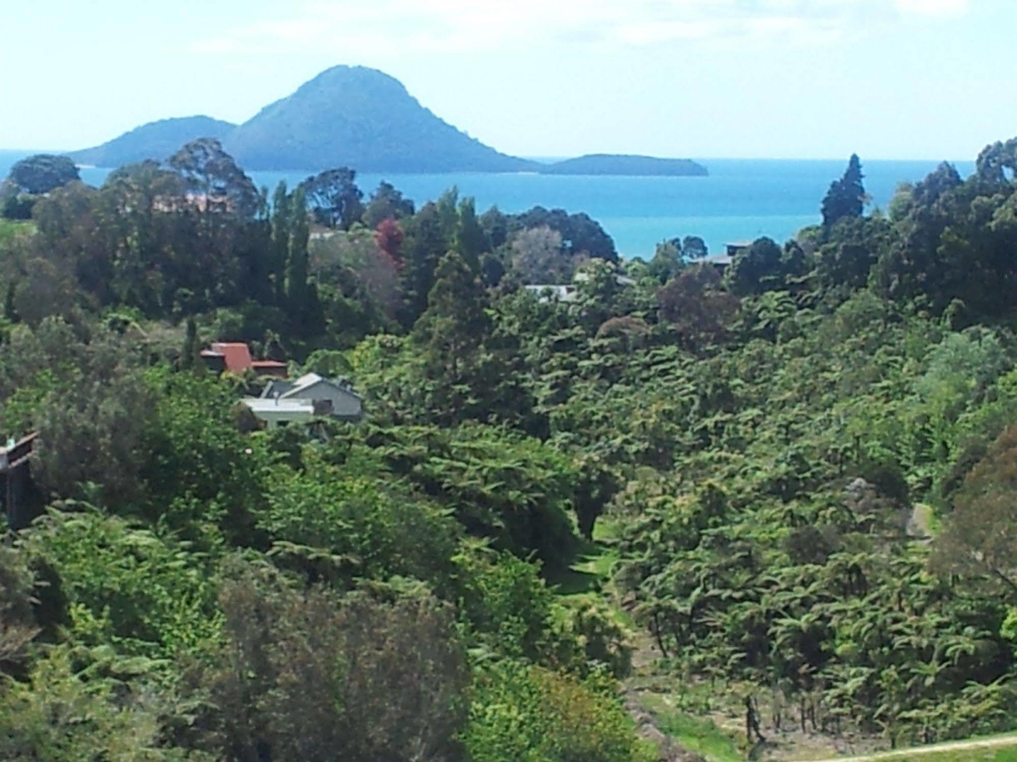Crestwood Bed And Breakfast Whakatane Buitenkant foto